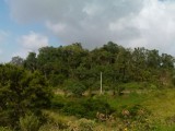 Malvern, St. Elizabeth, Jamaica - Residential lot for Sale